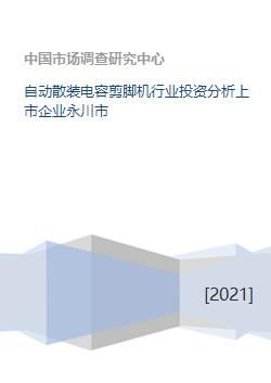 自动散装电容剪脚机行业投资分析 以永川市上市企业为例